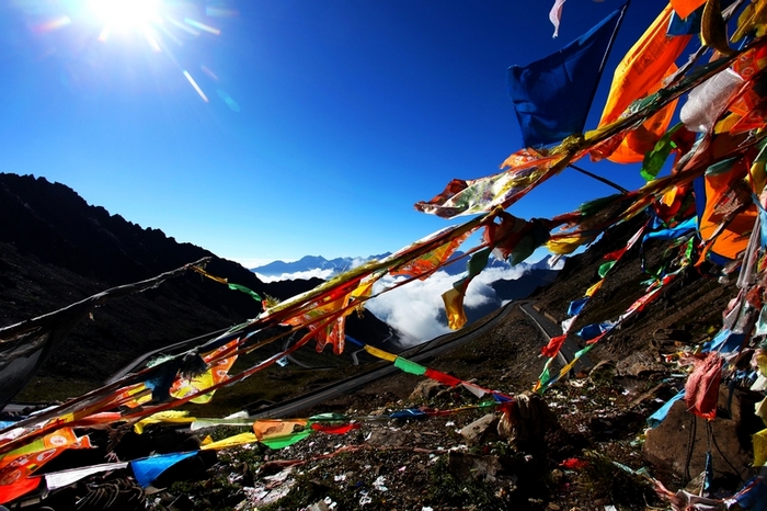 ��ɽ������ϣ���ľ���������º���������