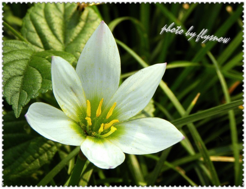 ������� .jpg