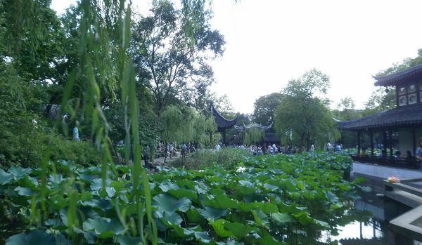 P8260210.jpg