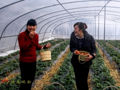 �ֺ���Ӱ����������Ʒչʾ֮ʮ��