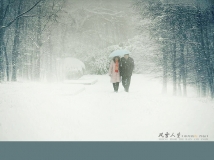 ��ѩ����