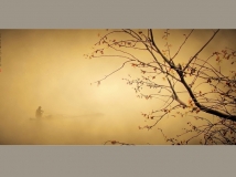 [ԭ��]�̲�����