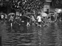 �������ĳ������ԣ�����ɽ��׼��������