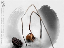 �� �� �� ��