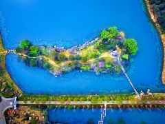 ���ֺ����顷