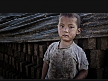 Ҳ����ש����ĺ���