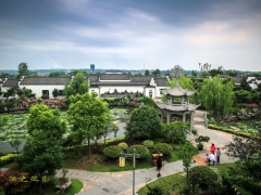 ���ֺ������׽���̬��Ӱ�������������佱����