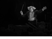 ָ�ӡ�������