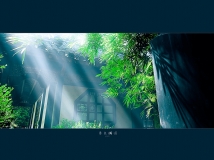 ������԰