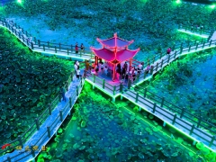 �׽��ɫ��԰������Ӱ��������Ʒ