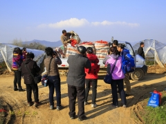 �ֺ���Ӱ����������Ʒչʾ֮��