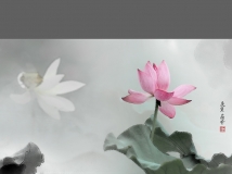 ���� ���� ��һ��