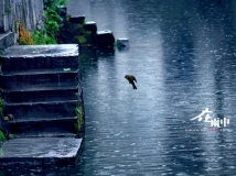 [ԭ��]�������С�������