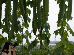 �ֺ���Ӱ����������Ʒչʾ֮ʮ��