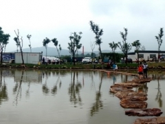 �ֺ���Ӱ����������Ʒչʾ֮��ʮ��