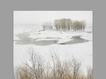 ����ѩ��