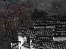 2009-2010����С��