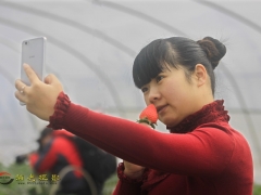 �ֺ���Ӱ����������Ʒչʾ֮��