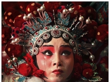 ��԰����